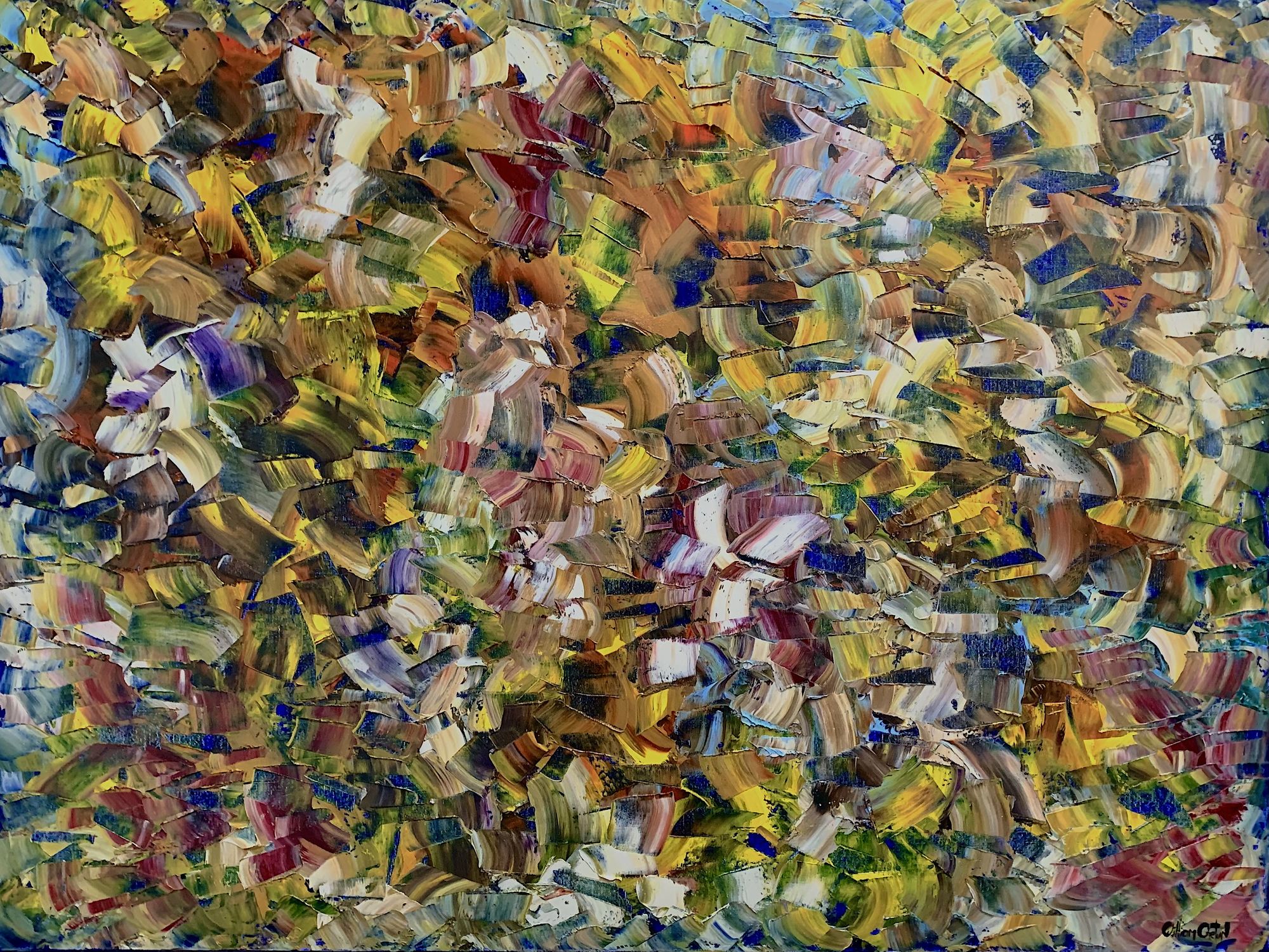 Fracas